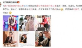 谢娜章子怡最新爆料视频,娱乐圈幕后真相大曝光