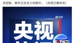 网安爆料行凶案件最新,真相背后令人震惊