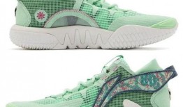 安踏最新篮球鞋爆料,科技升级，战靴新篇章